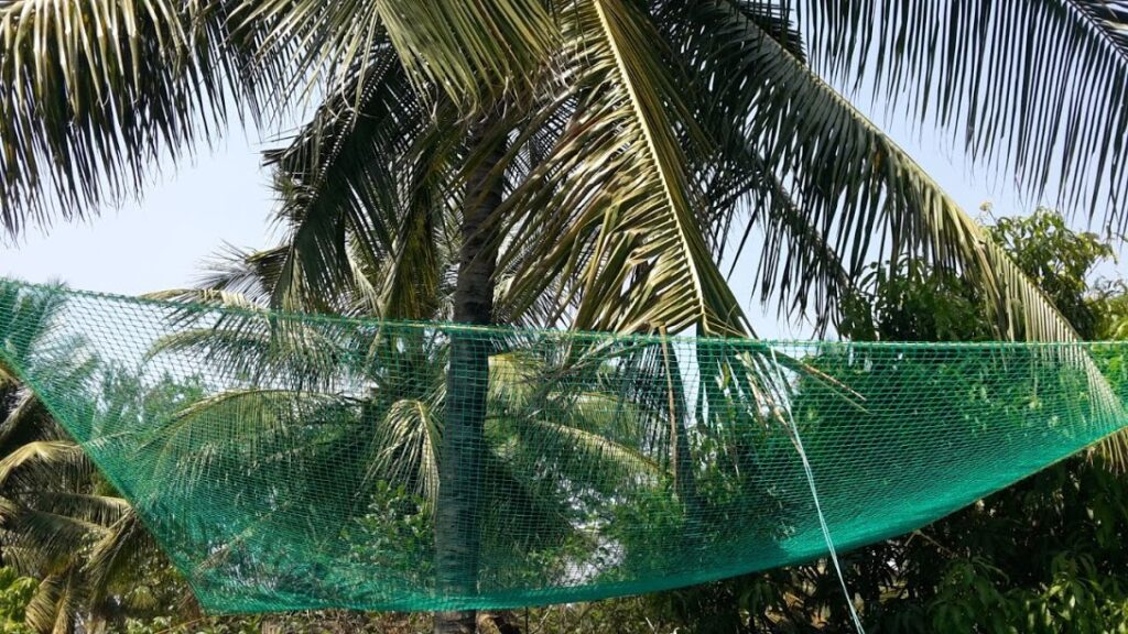 Coconut Safety Nets